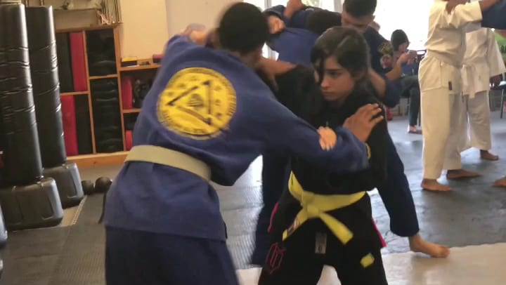 Cheeseman Martial Arts Brazilian Jiu Jitsu, photo 3