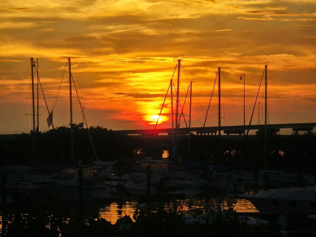Harbor Scoops, photo 4