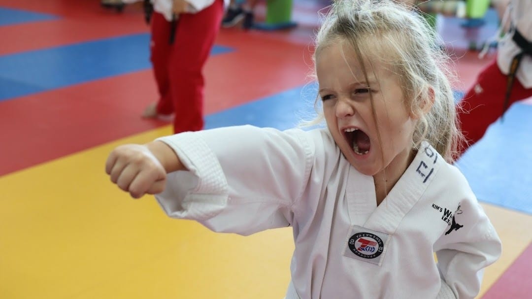 Kim's White Tiger Taekwondo Martial arts & After School, photo 2