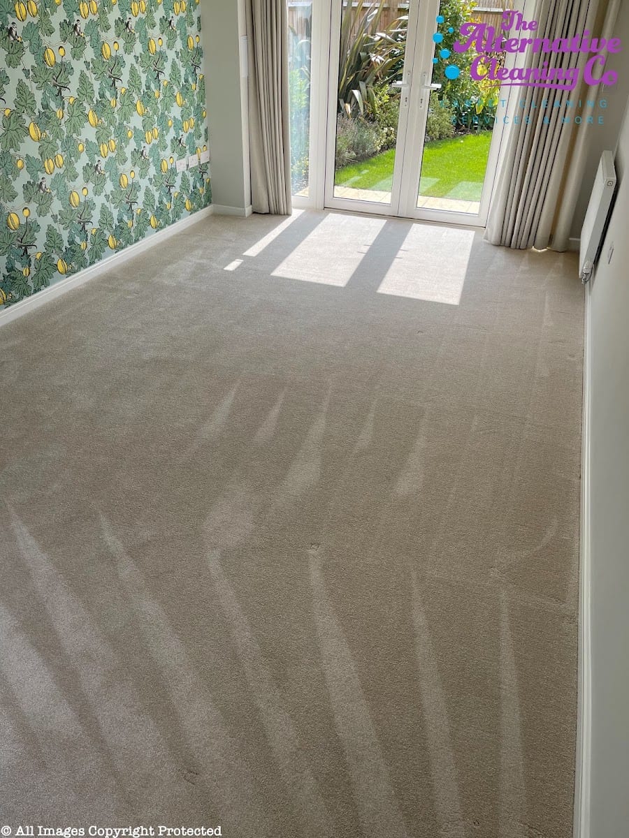 The Alternative Cleaning Company, photo 3