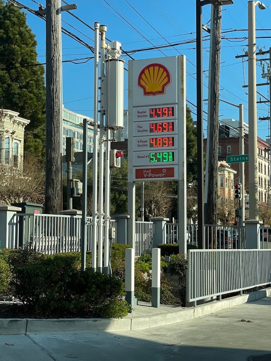 Shell, photo 4