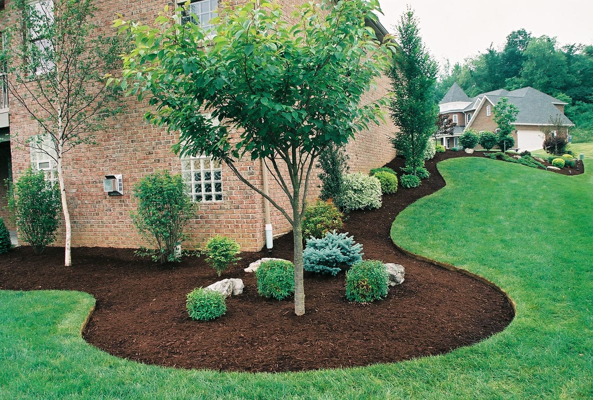 Dream Lawn, photo 2