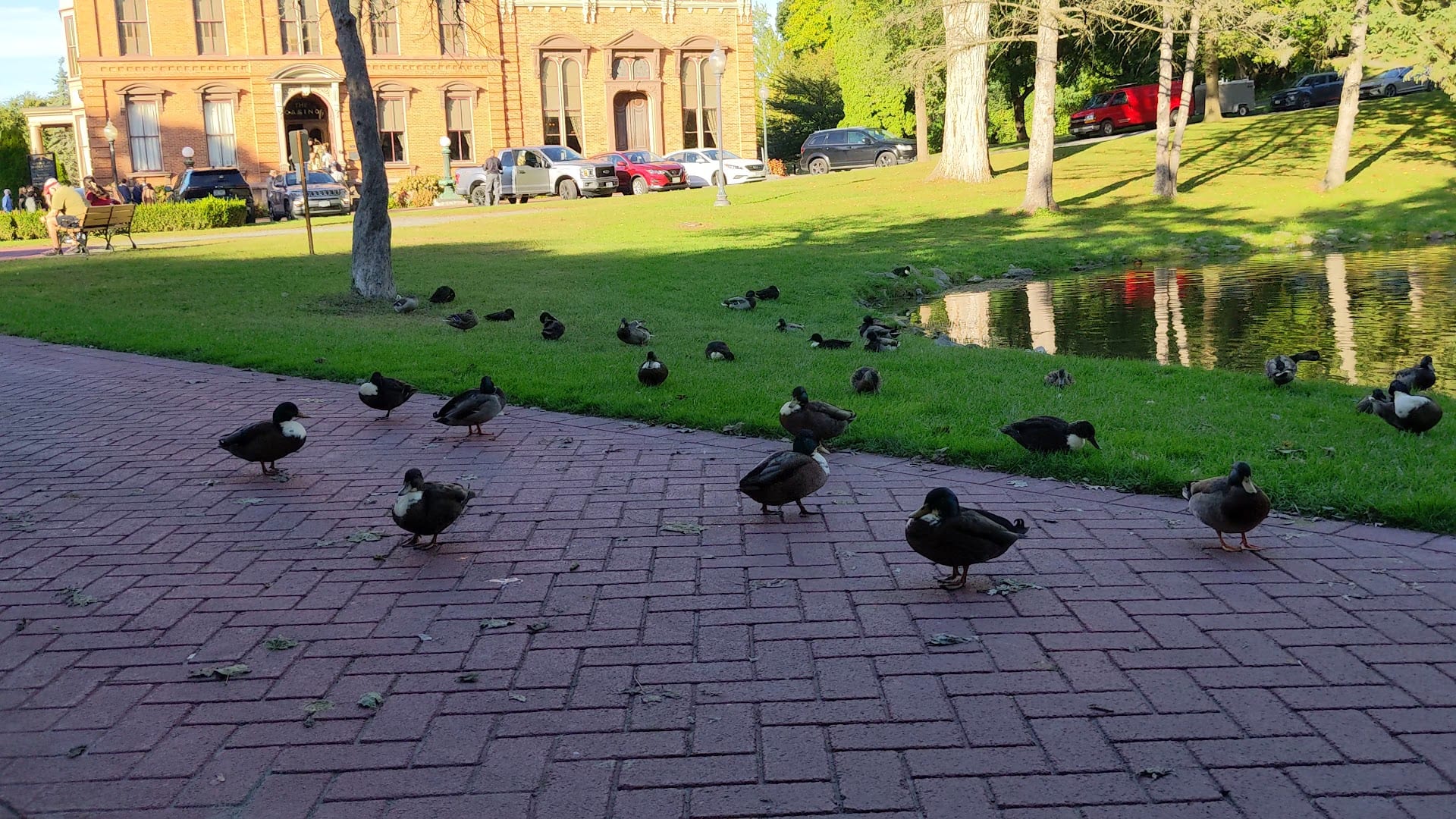 Veterans Pond, photo 2
