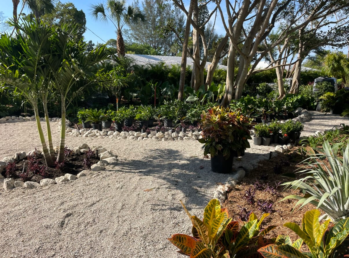 Zimmerman's Lawn & Landscape LLC
