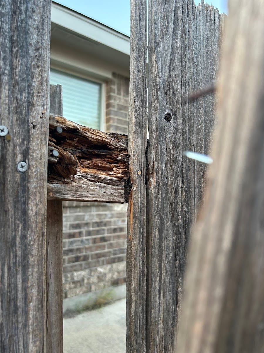 Evernest Property Management Austin, photo 3