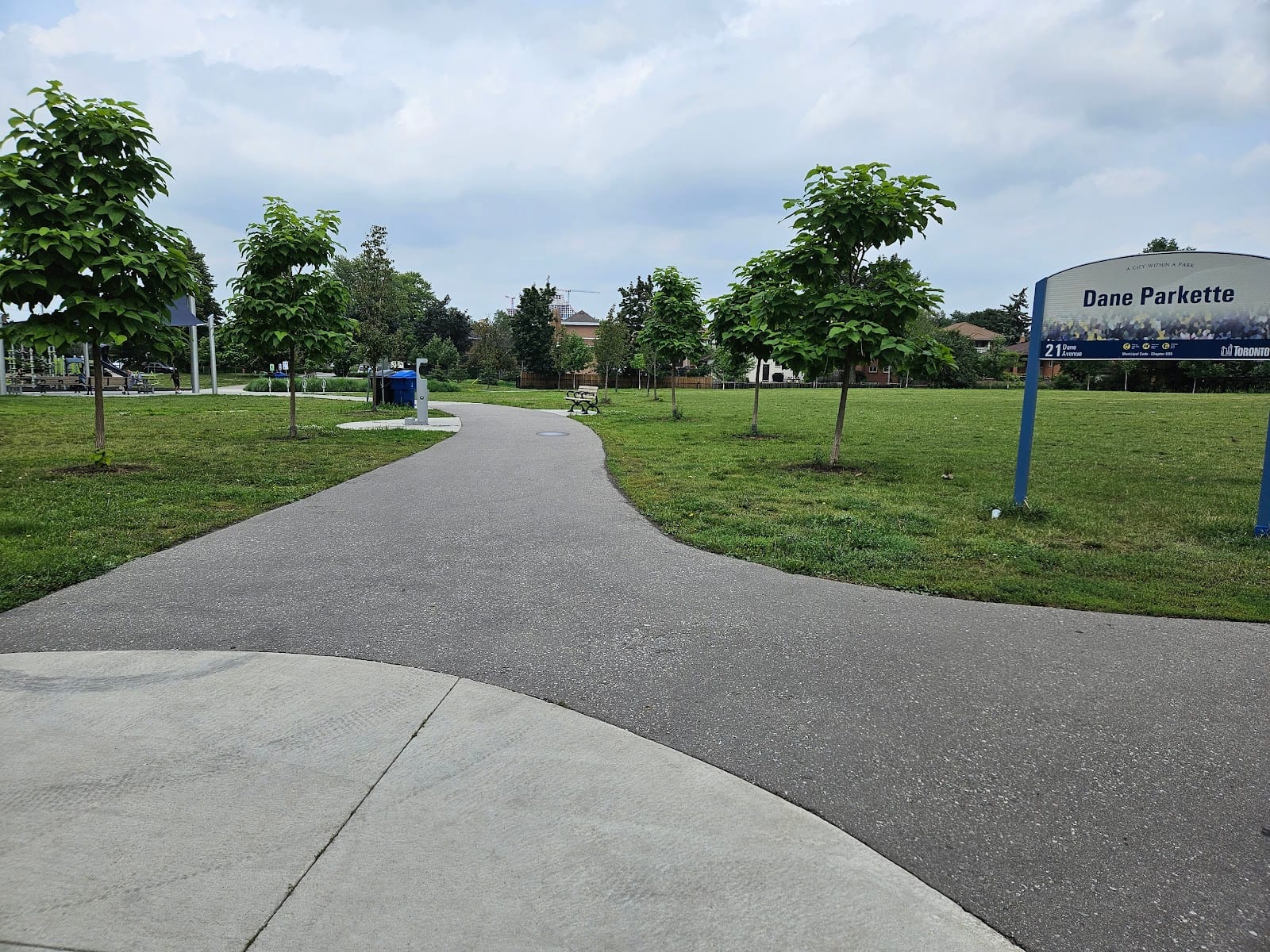 Dane Parkette