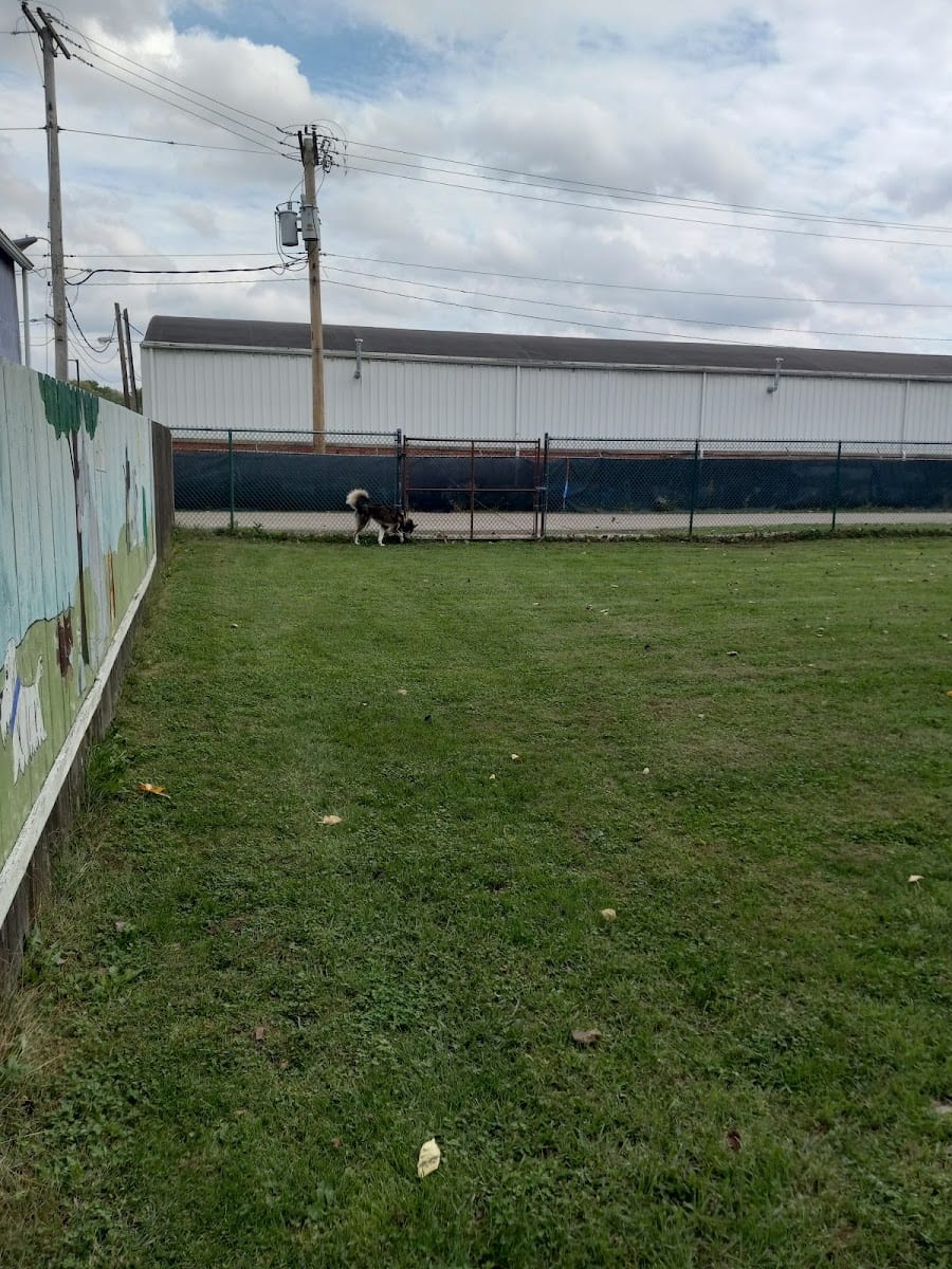 Canine Corral, photo 3