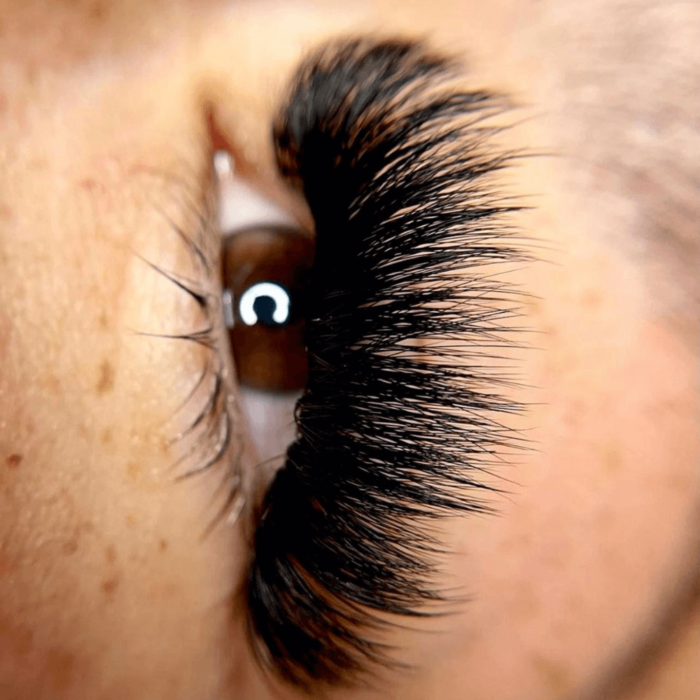 The Raw Unlimited Lash Academy (Moved to Chandler), photo 2