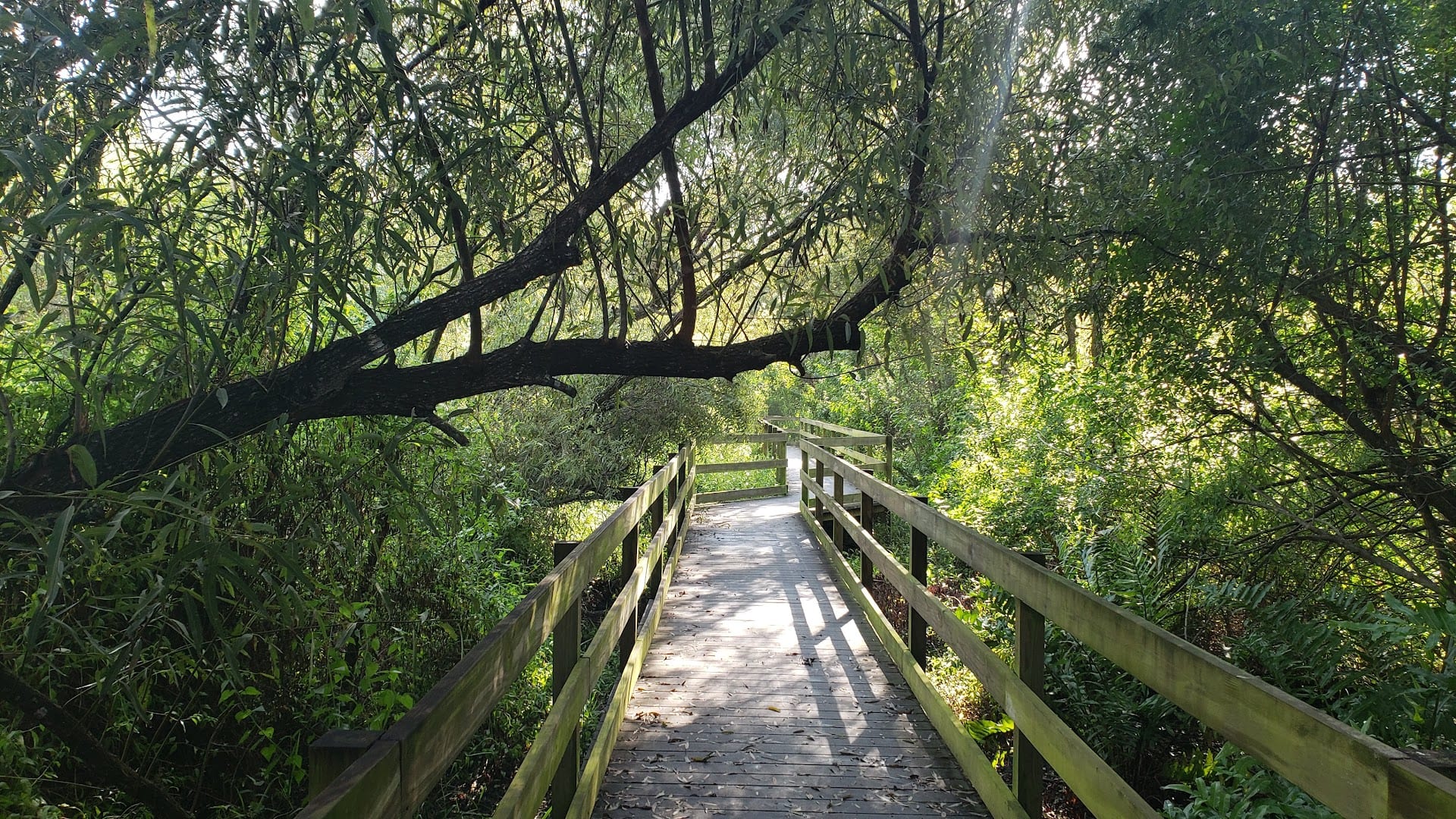 Larry Taylor Kiwanis Park, photo 3