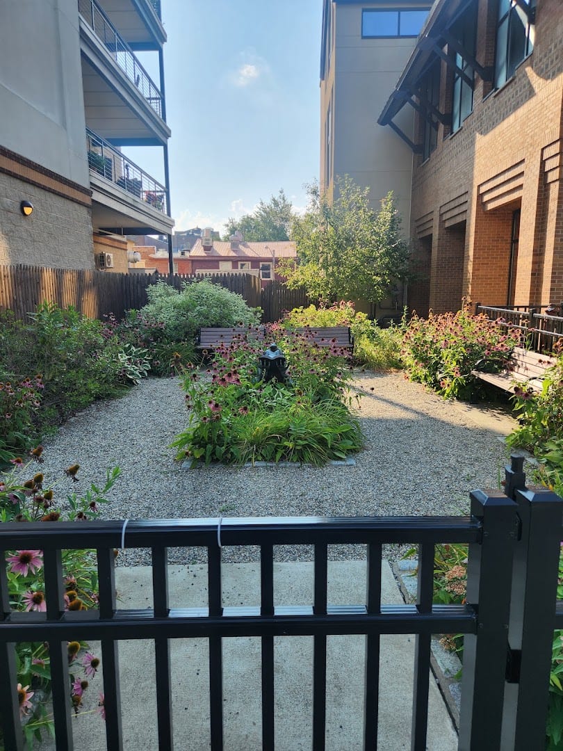 Henry Street Frog Park, photo 2