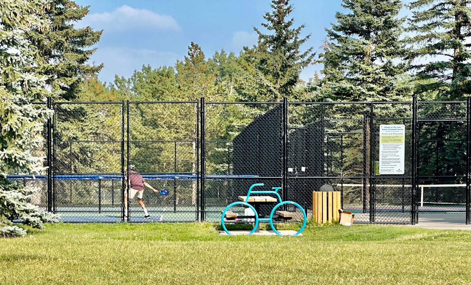 Village on the Lake Pickleball Courts, photo 2