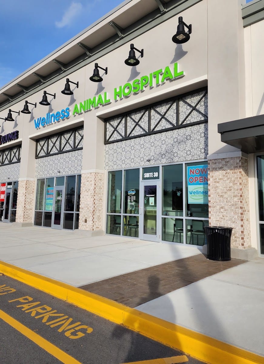 Wellness Animal Hospital - Palmer Ranch, photo 3