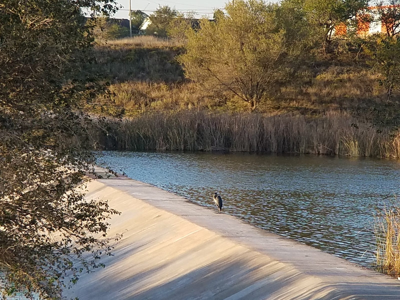 Buddy Holly Lake Recreation Area