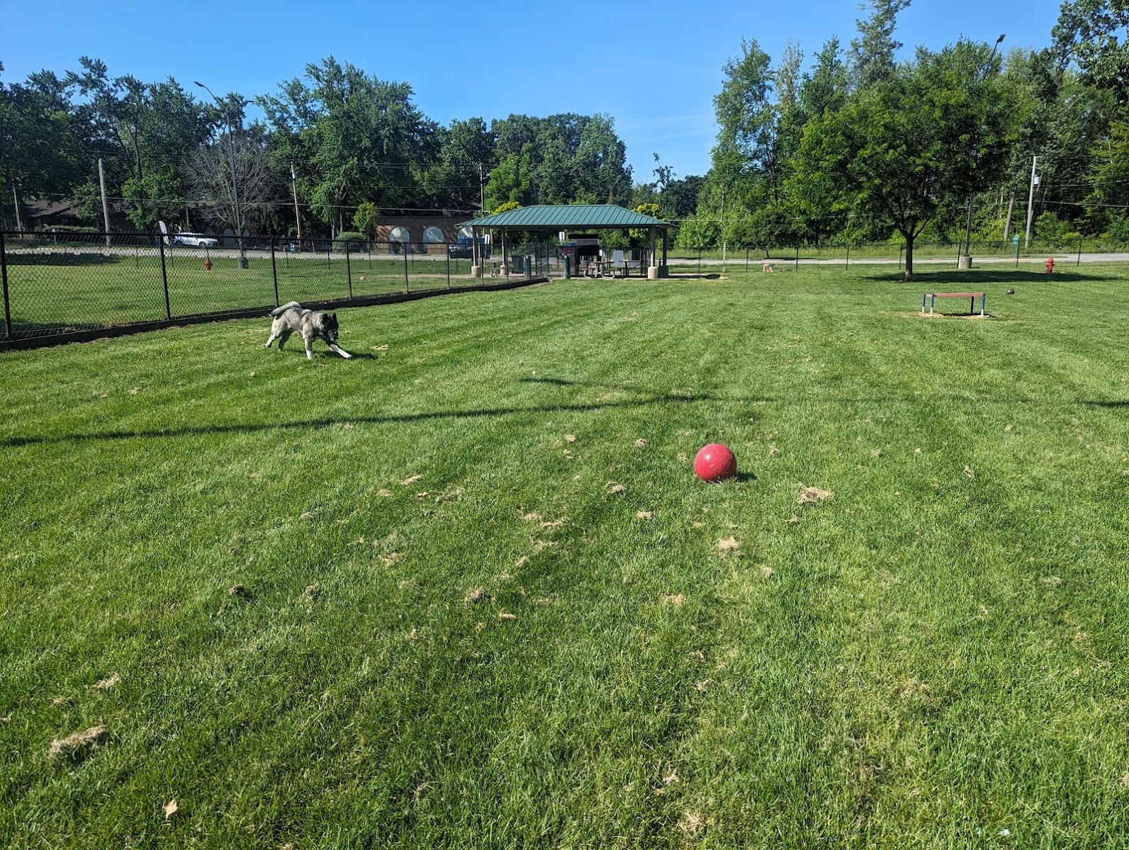 Pawster Park (Pay Access), photo 2