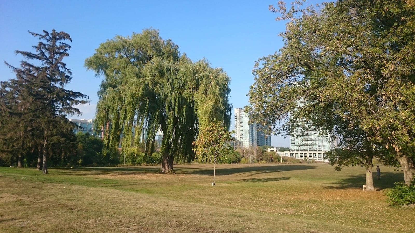 Grand Avenue Park