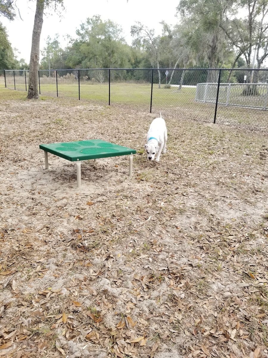 Keystone Heights Sunrise Park, photo 3