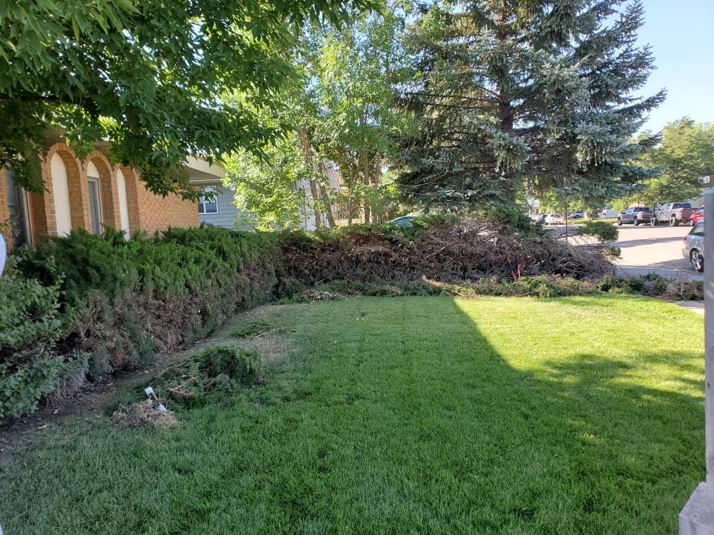 F&G Landscaping