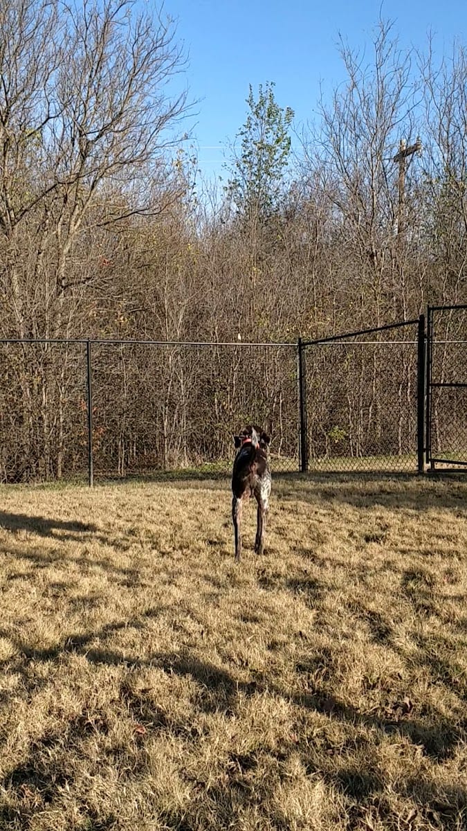 Paloma Creek Dog Park, photo 2