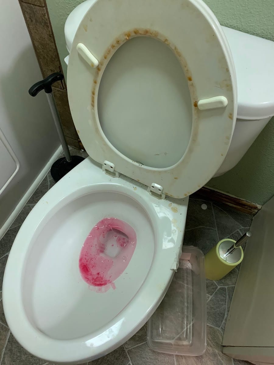 Journee's Quality Cleaning Service, photo 4