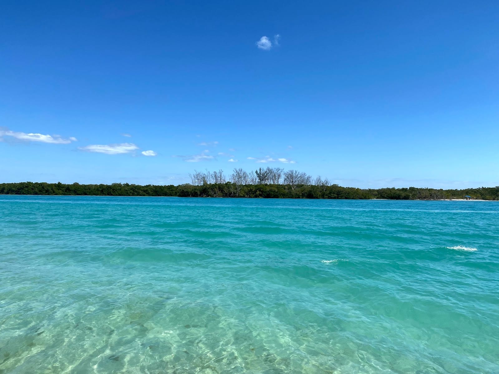 Placida Park, photo 4