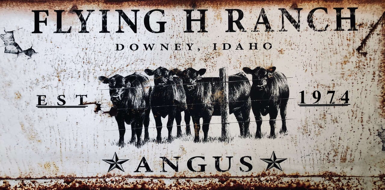 Flying~H~Ranch Fresh Beef 100% Grass-fed / Hoggan Family Heritage and Trade, photo 2