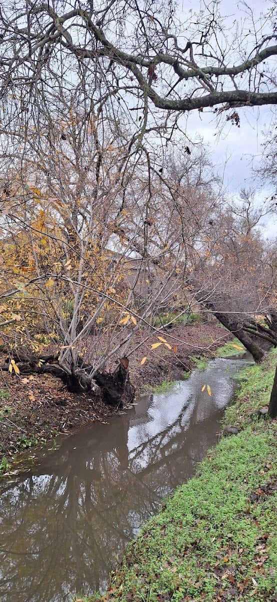Yountville Shared Use Trail