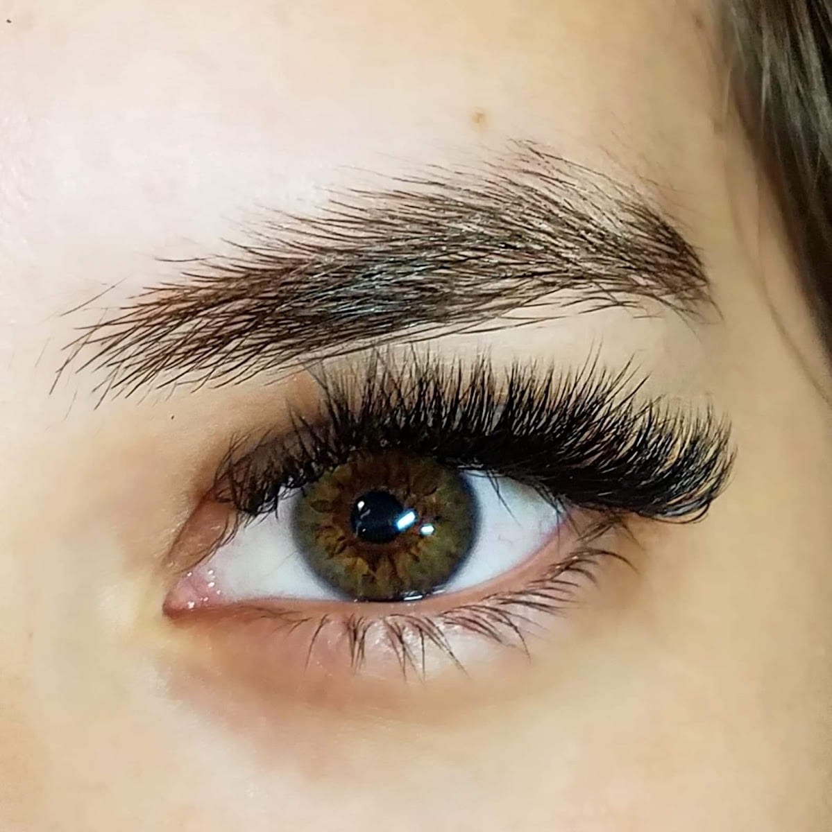 The Lash and Sugar Company
