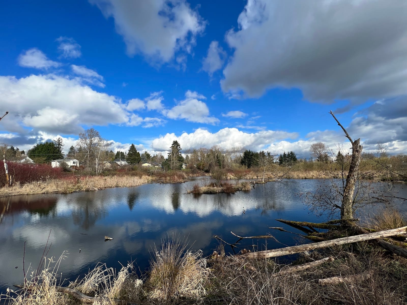 Minthorn North Natural Area