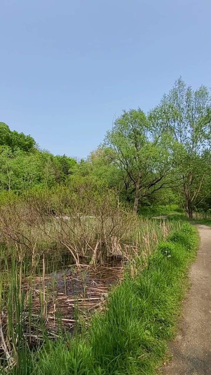 Taylor Creek Park, photo 2