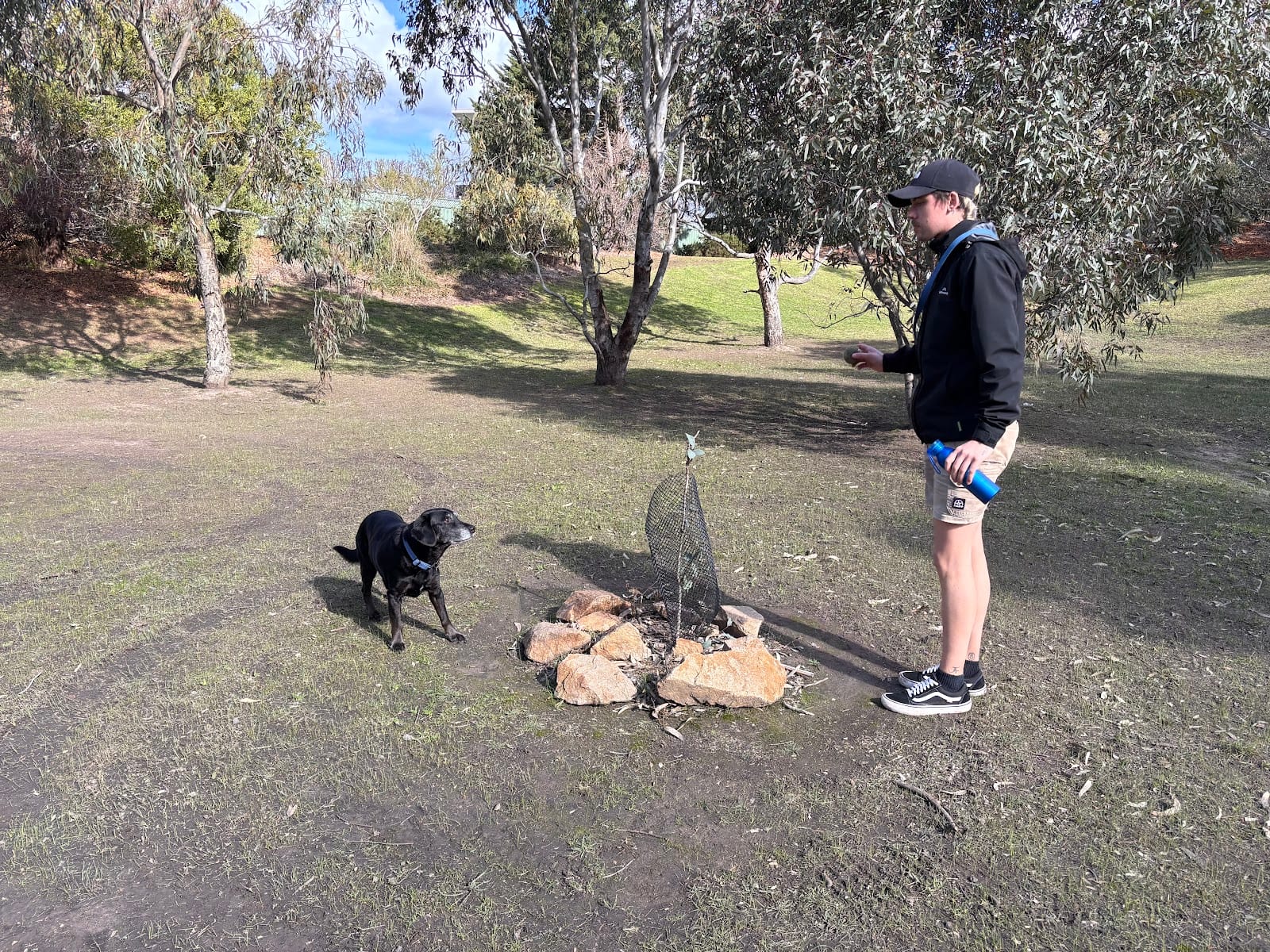 Pine Avenue Reserve Fenced Dog Park