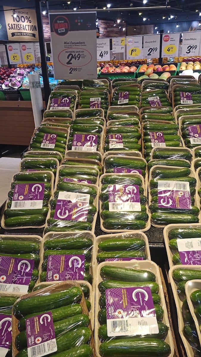 Safeway Bakery