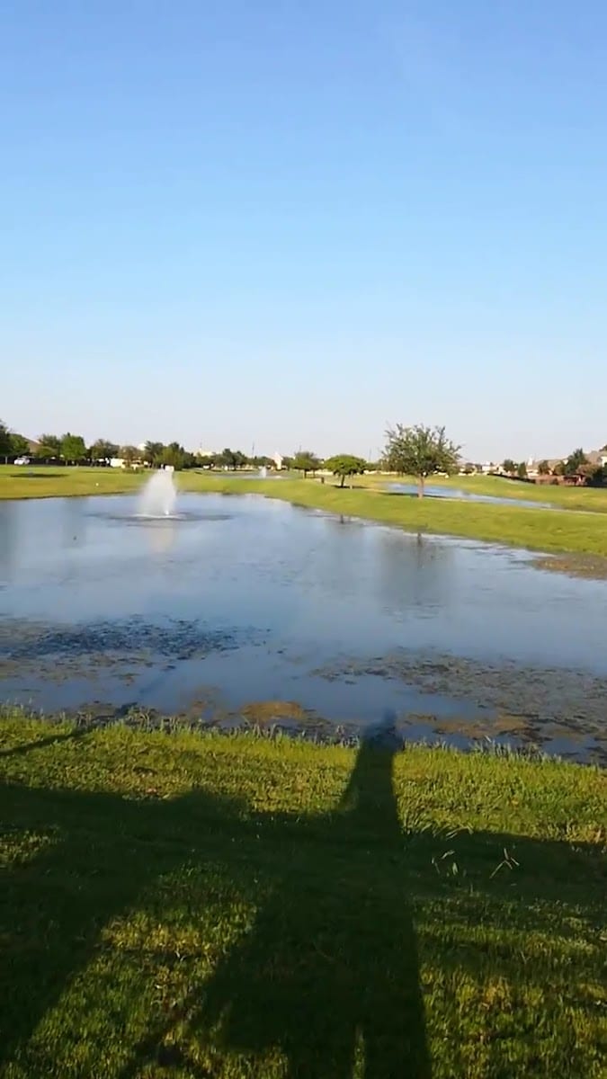 Sunset Pointe, photo 2