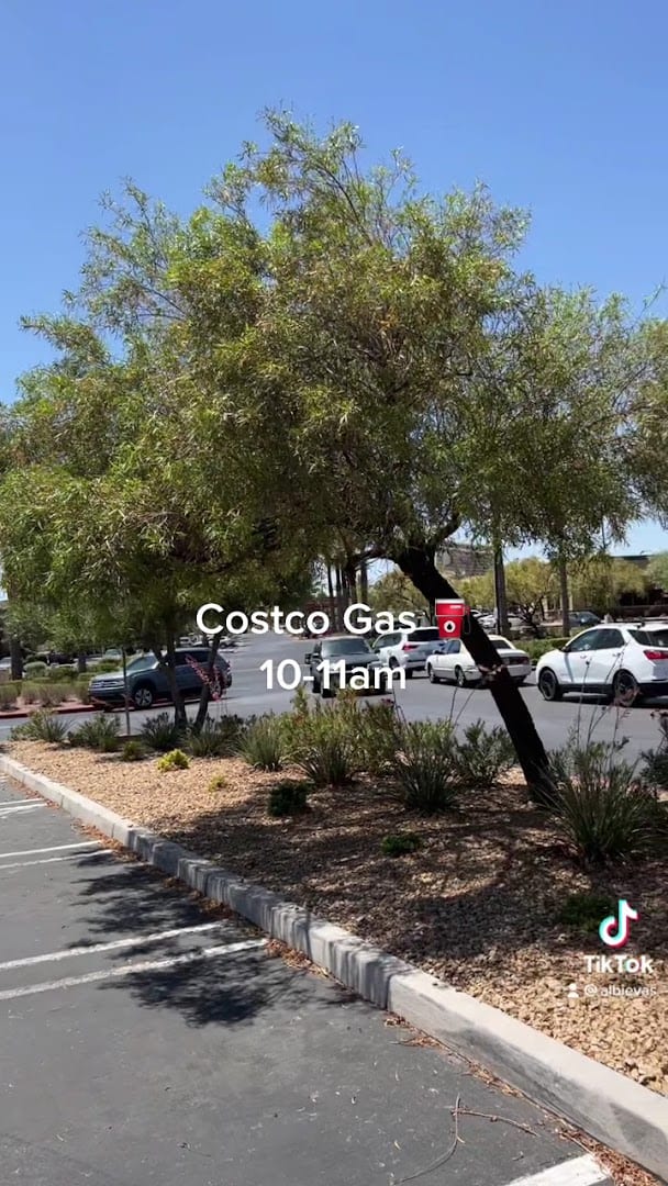 Costco Gas Station, photo 2