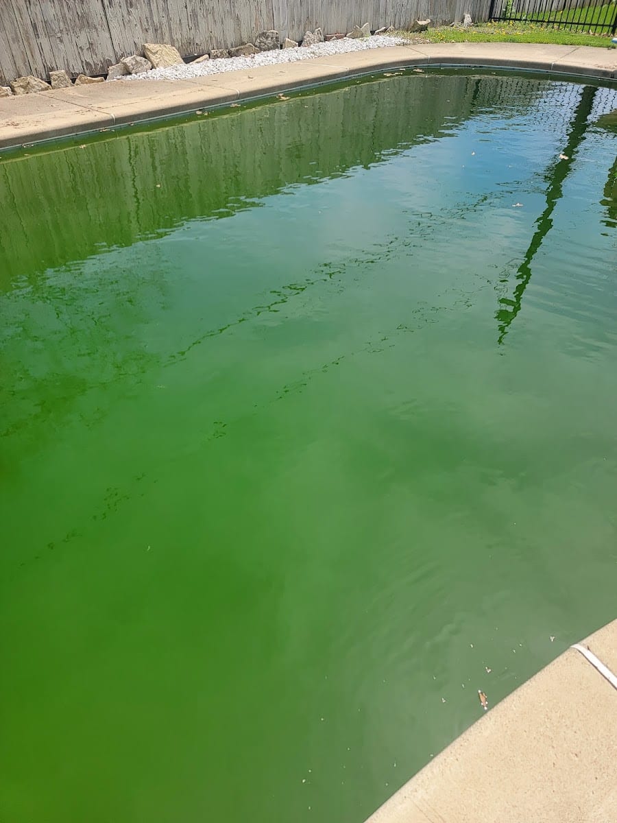 Swim Pools Inc, photo 3