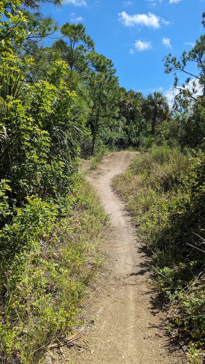 Hillsborough BIKE PARK NORTHPORT