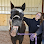 ANIMAL CHIROPRACTIC SCOTTSDALE