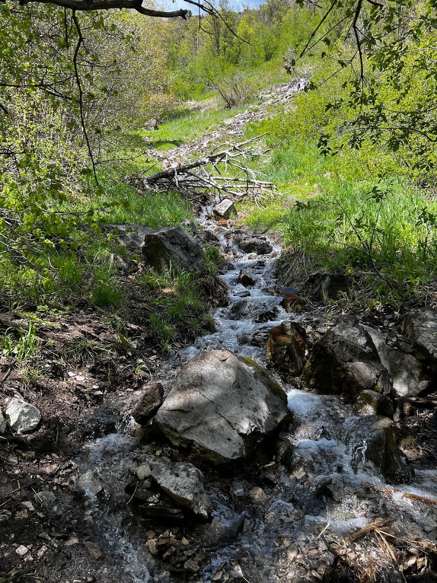Leatham Hollow, photo 3