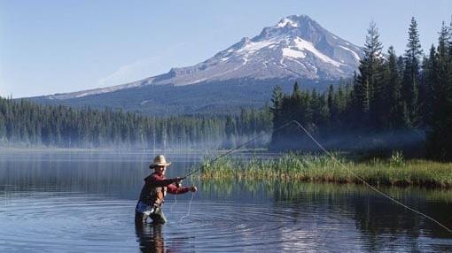 Montana Lifestyle Real Estate LLP, photo 2