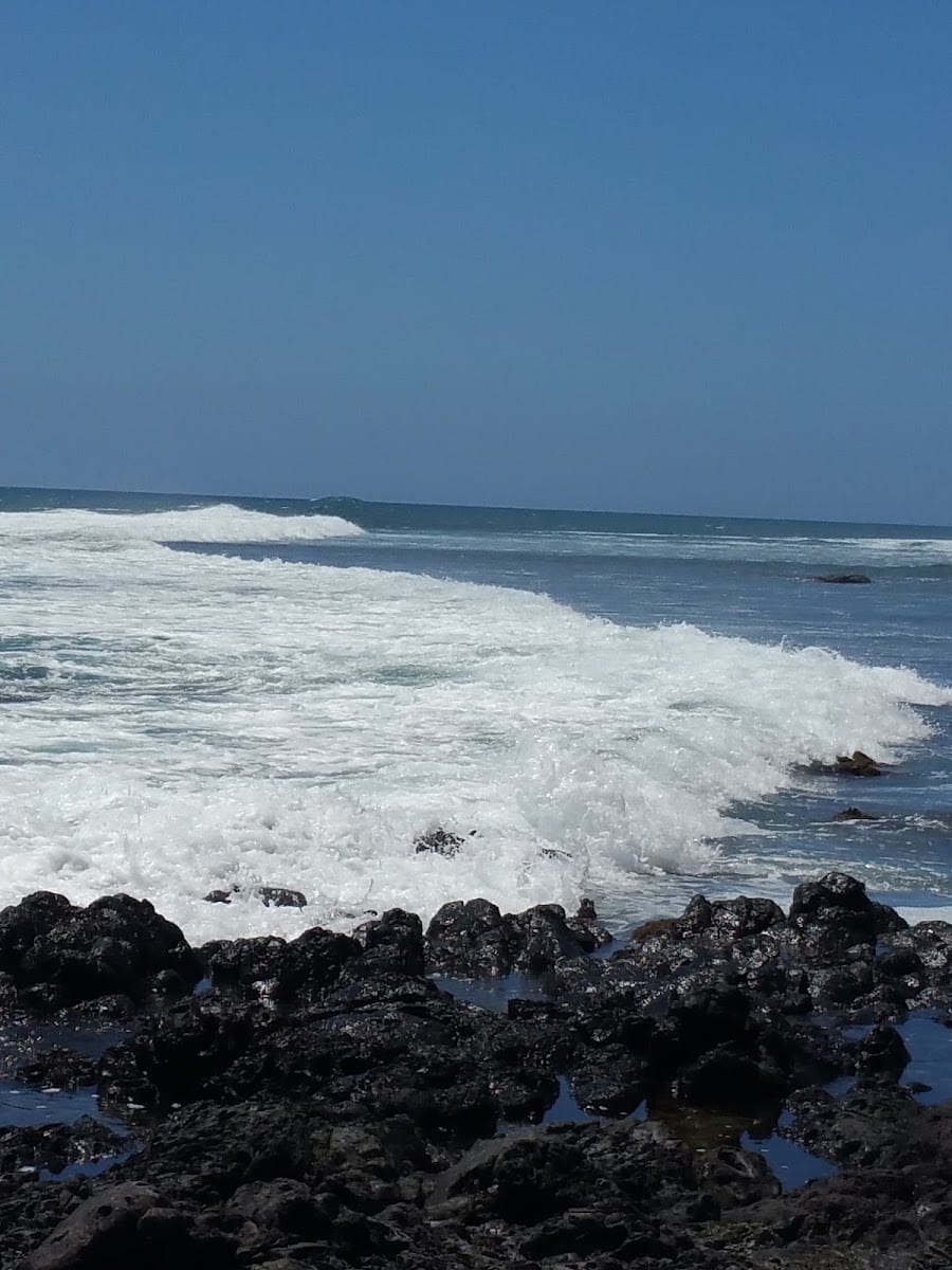 76, photo 2