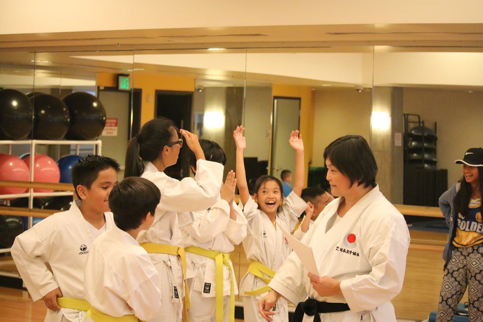 Japan Karate Association/American Federation Institute
