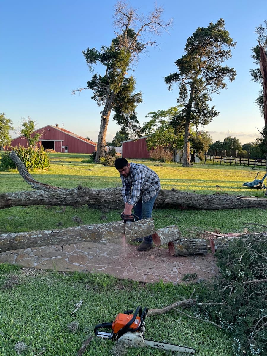 Diaz Brothers Landscaping & Tree Services, photo 3