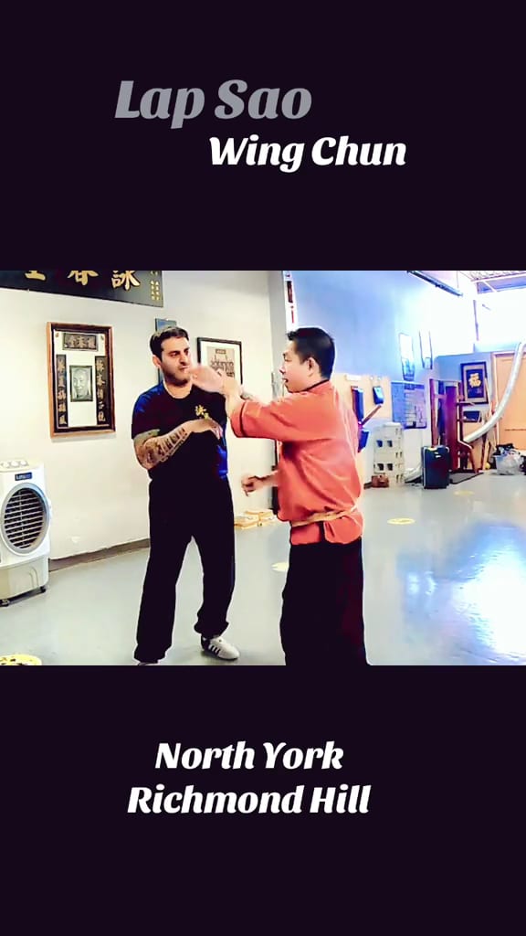 North York Wing Chun Kung Fu Martial Arts, photo 2