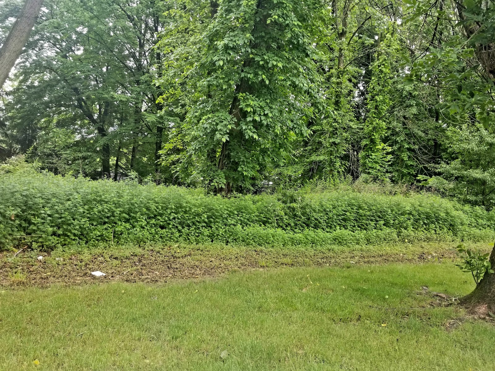 Spring Valley Park
