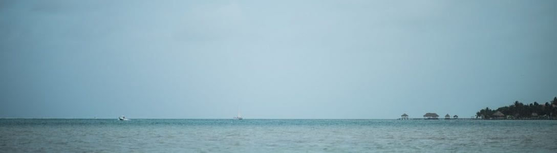Dr. Edward Lin // Interstitium, photo 3