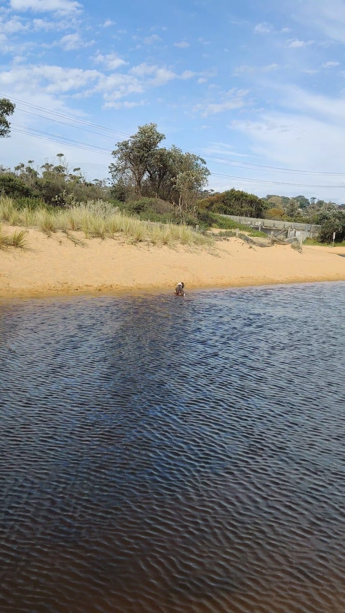 Hawker Beach Dog Friendly Off Leash Area, photo 2