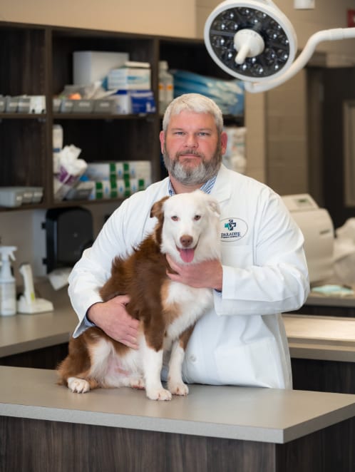 Paradise Animal Hospital
