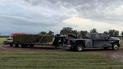 Dcs Landscaping And Trees Service