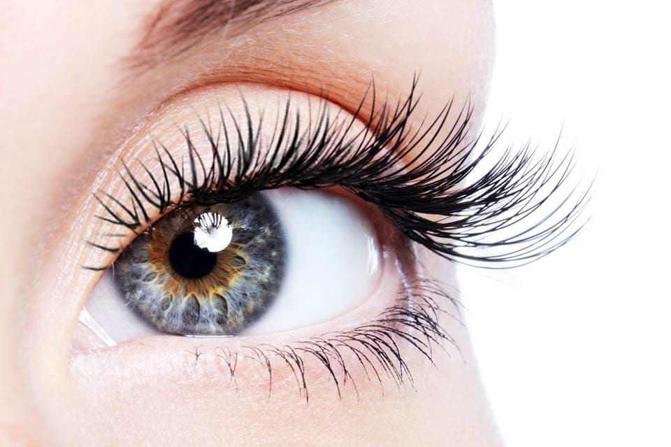 Primp Lash & Beauty, photo 3