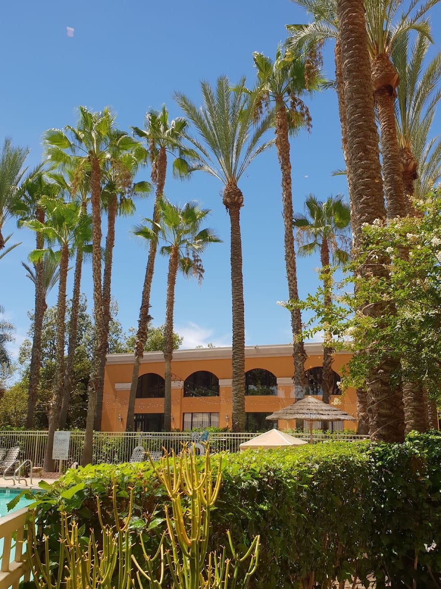 California Grill Restaurant & Cantina, photo 2