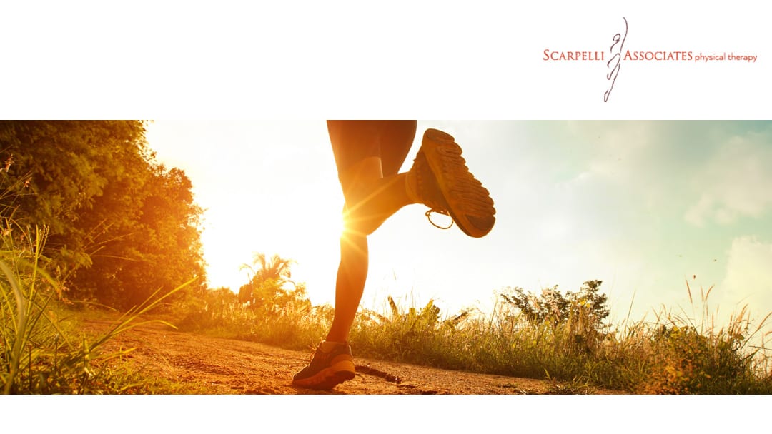 Scarpelli and Associates Physical Therapy, INC, photo 2